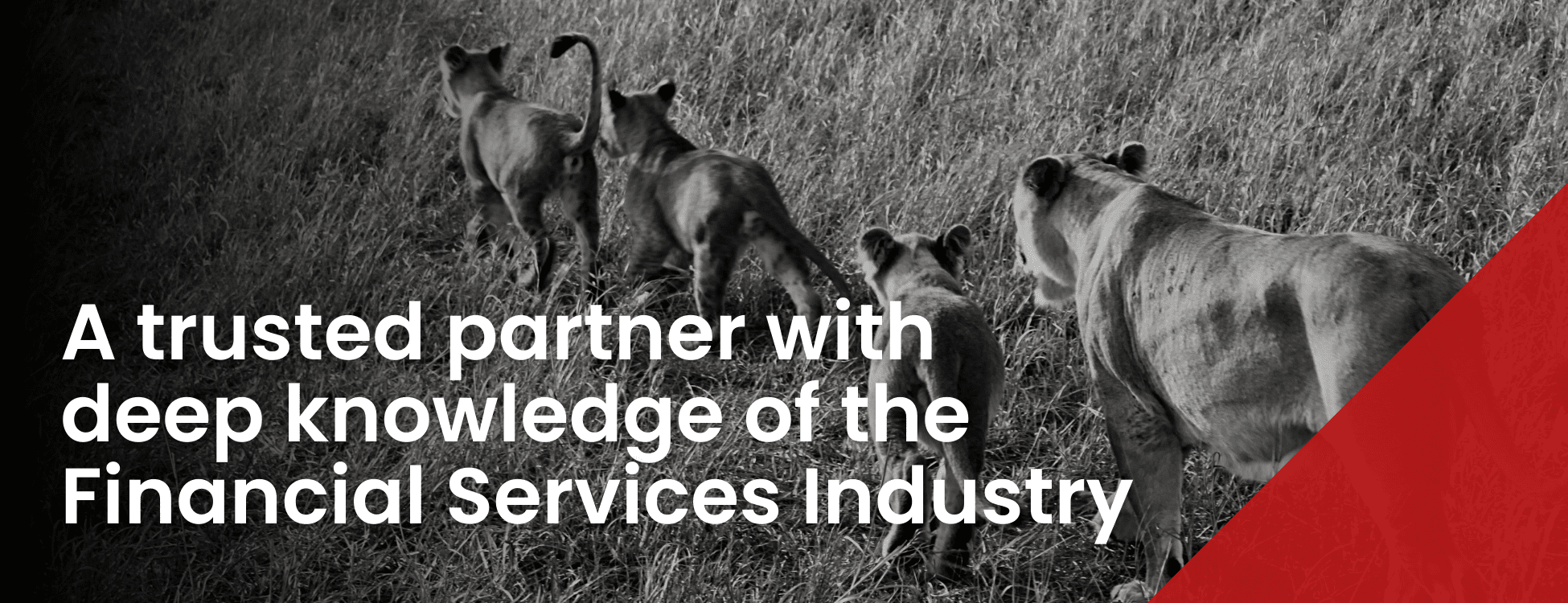 A trusted partner with deep knowledge of the Financial Services Industry