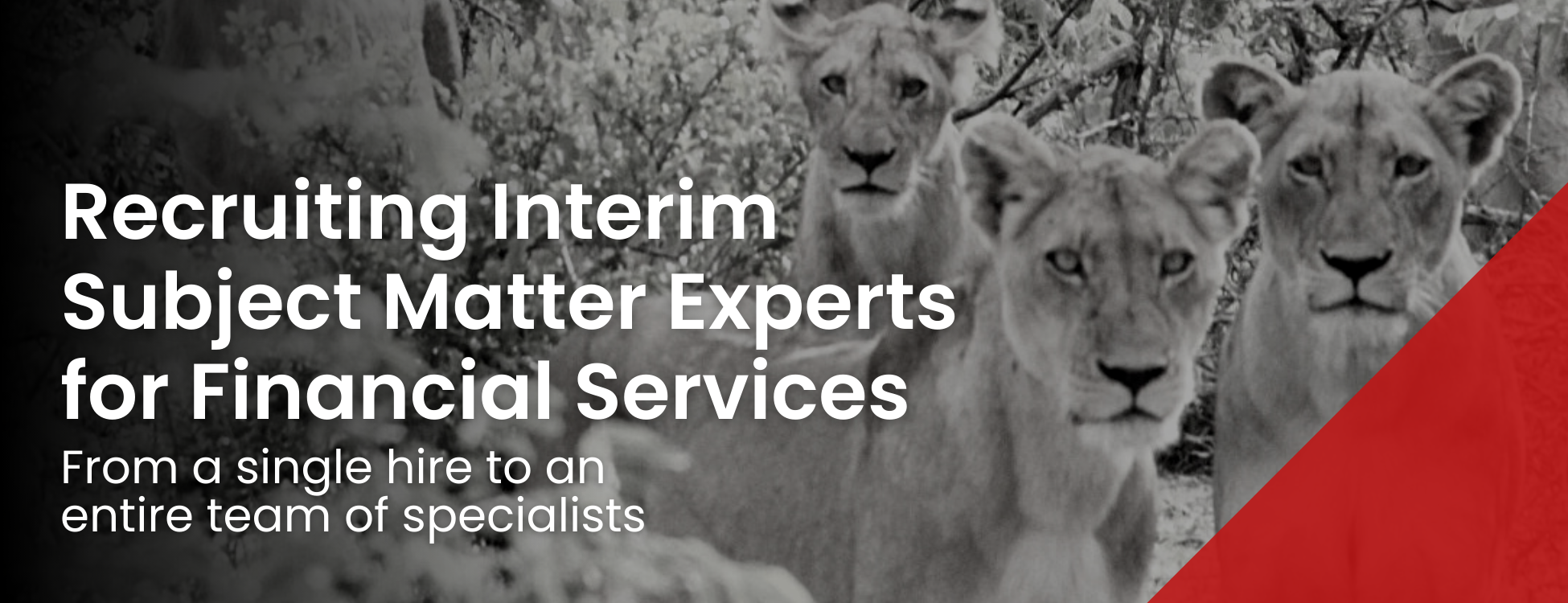 Recruiting Interim Subject Matter Experts for Financial Services