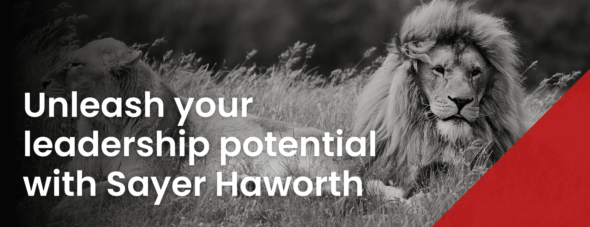 Unleash your leadership potential with Sayer Haworth