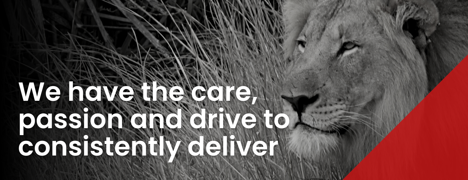We have the care, passion and drive to consistently deliver