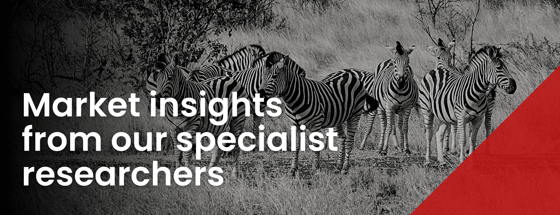 Market insights from our specialist researchers